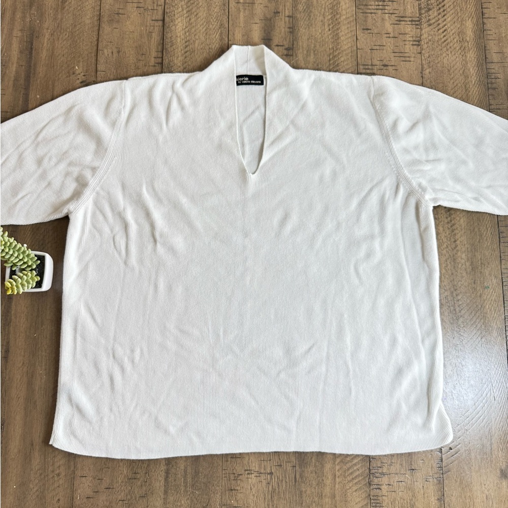 Valerie Stevens Ivory V-Neck Top
